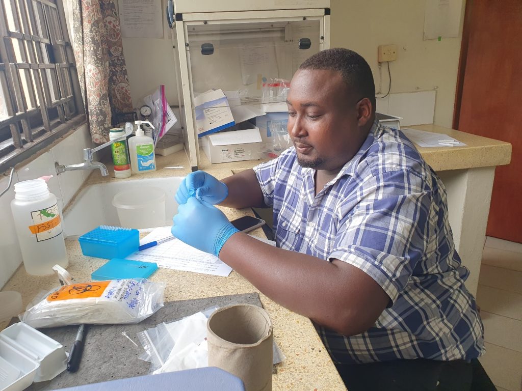 Mr. Paul Akampulira, a laboratory scientist with the Uganda NTD Laboratory preparing samples