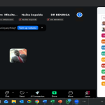Online meeting between AFENET and the STOPpers deployed in provinces in Chad